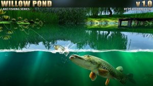 Calm Waters Fishing Adventure