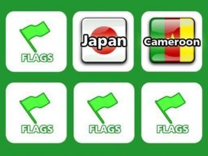 Flag Recall Puzzle