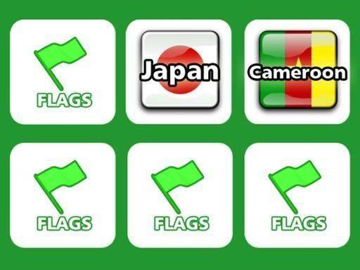 Flag Recall Puzzle