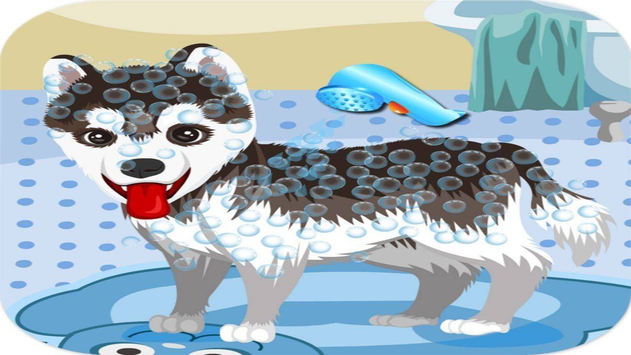 Pampered Puppy Spa Day