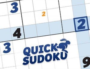 Number Placement Logic Challenge