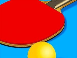 Table Tennis Rally Challenge