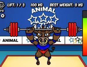 Animal Sports Weightlifting Contest