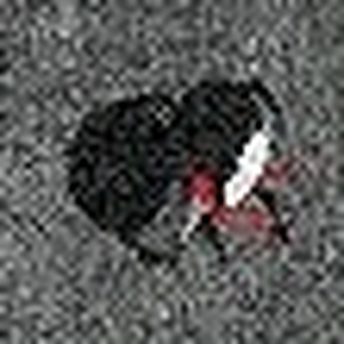 Silent Strategy: The Puzzle Heist