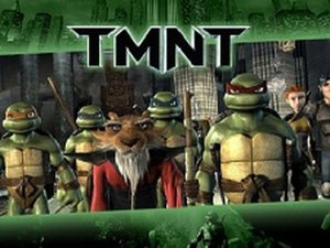 Turtle Heroes Jigsaw Puzzle