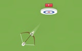 Precision Puzzle Shots