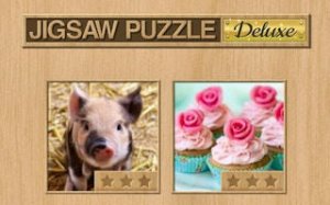 Wildlife Picture Puzzle Assembly