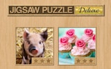 Wildlife Picture Puzzle Assembly