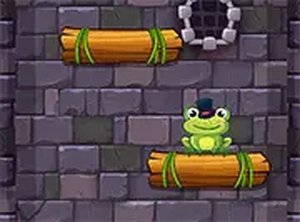 Frog Leap Well Challenge