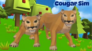Wildcat Family Simulator